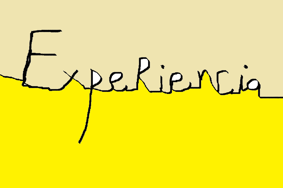 experiemncia
